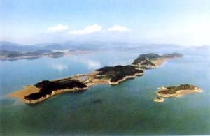 qiangjiao.jpg